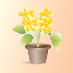 flower in flowerpot, flower in a pot illustration