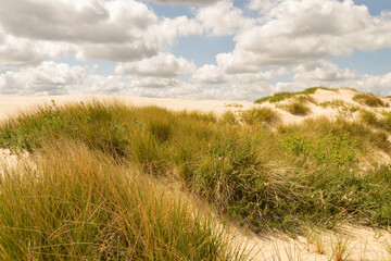 R&aring;bjerg Mile, Danimarca