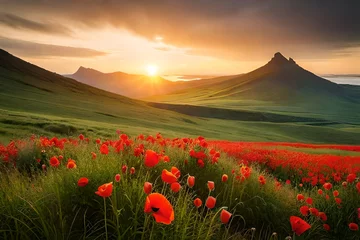 Rolgordijnen poppy field in the sunset Generated Ai © Resonant Visions