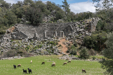 An antique panoramic landscape. A wide juicy green   pasture with sheep. Ancient white stone ruins, damaged amphitheater and many small rocks are around. 