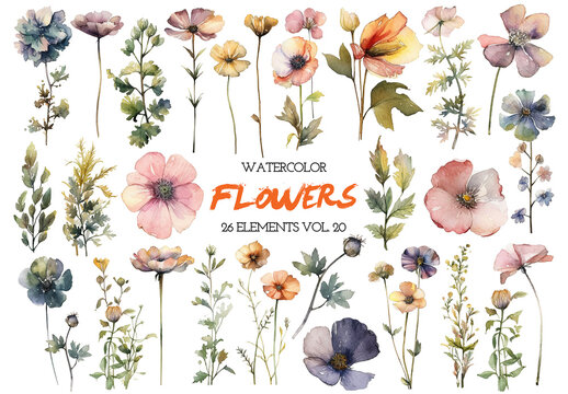 Watercolor painted flowers. Hand drawn flower design elements isolated on white background.