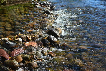 Orilla del rio, paisaje, colores, acuático, río, arroyo, naturaleza, roca, cascada, roca, gemas, arroyo, montagna, paisaje, bosque, primavera, chorros, nativo, arroyo, ambiente, árbol, gema, soleado, 