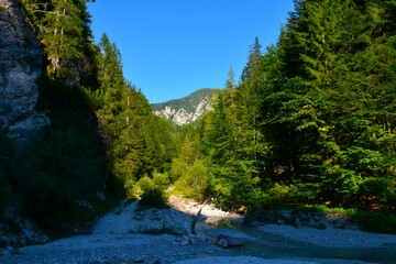 Forest covered valley with a creek bellow Dovska Baba in Karavanke mountains, Slovenia