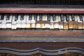 Rotten keys of an old piano sitting outdoors