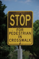STOP FOR PEDESTRIANS IN CROSSWALK