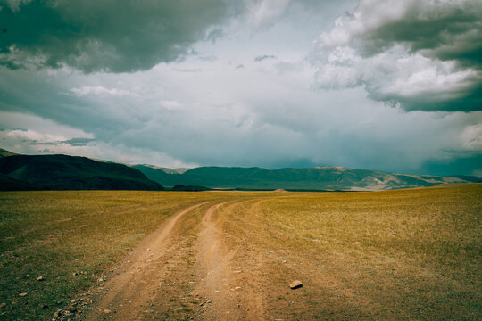 Country unpaved road in the field 
