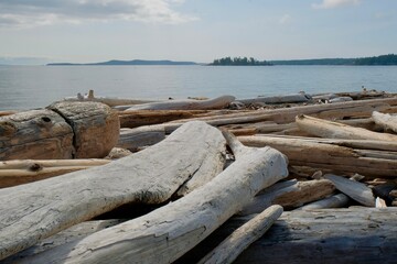 Large driftwood logs on beach with island water view