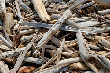 Pile of driftwood logs on the beach