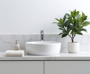 Fototapeta na wymiar Plant in modern bathroom