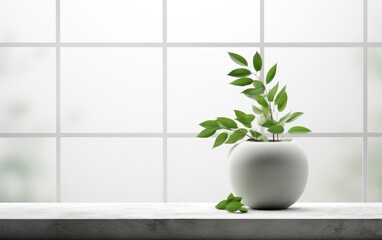 Plant in modern bathroom