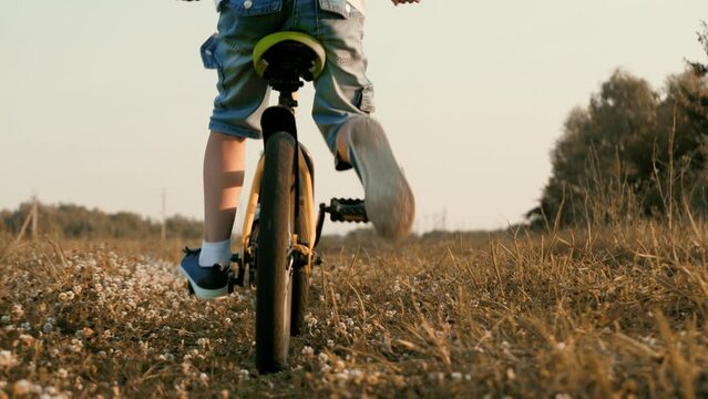 Little boy rides small bicycle across field in summer evening at sunset time