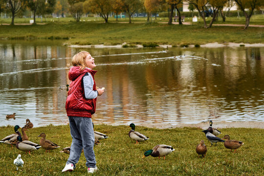 A 10-12 year old girl feeds birds in a city park next to a pond. The child rejoices and laughs, throws bread to ducks and drakes, autumn.