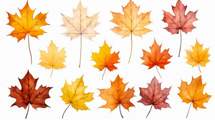 Collection of colorful autumn maple leafs on white background, drawing, for design. Set of maple leaves in pastel shades, illustration.