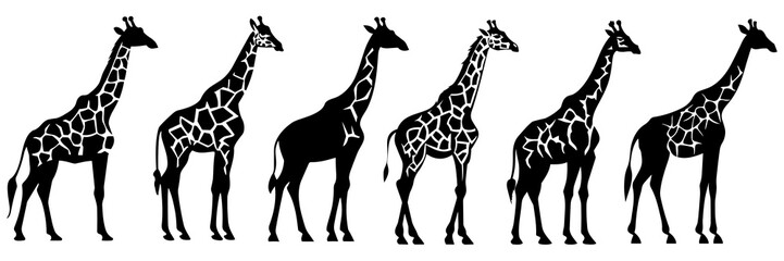 Giraffe zoo and africa silhouettes set, large pack of vector silhouette design, isolated white background