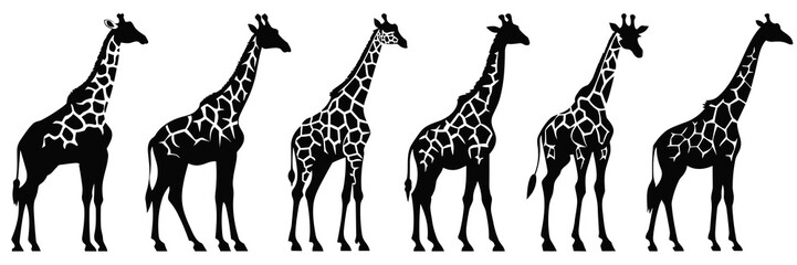 Giraffe zoo and africa silhouettes set, large pack of vector silhouette design, isolated white background