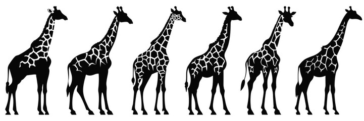 Naklejka premium Giraffe zoo and africa silhouettes set, large pack of vector silhouette design, isolated white background