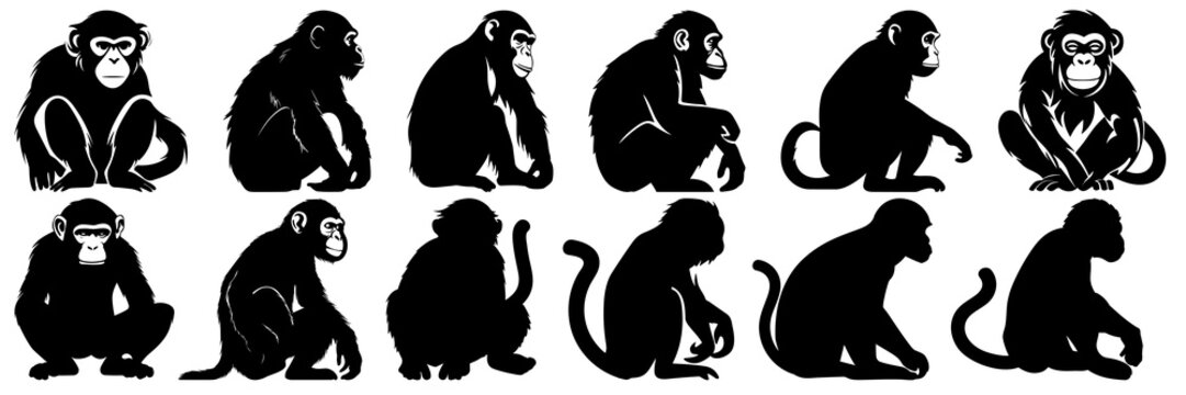 Monkey ape and zoo silhouettes set, large pack of vector silhouette design, isolated white background