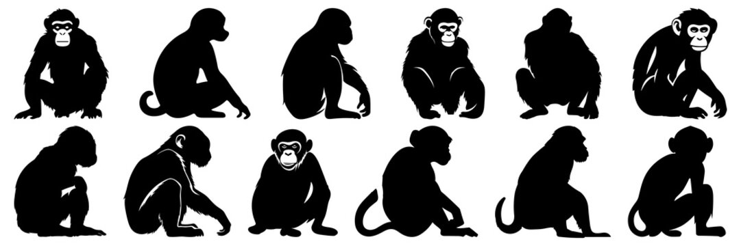 Monkey ape and zoo silhouettes set, large pack of vector silhouette design, isolated white background