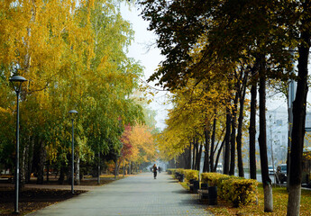 A human walks along a footpath among an alley of autumn trees