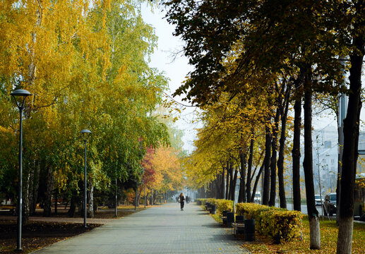 A human walks along a footpath among an alley of autumn trees