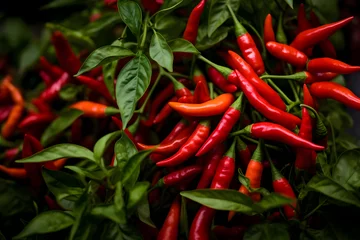 Glasschilderij  Vibrant Thai Chili Pepper  © Niko