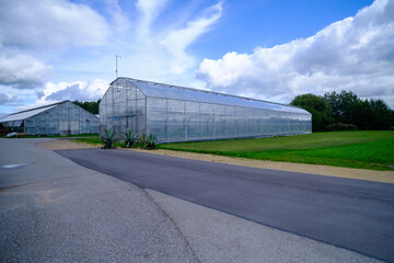 Fototapeta na wymiar Large greenhouses for growing plants. ecological agriculture. family business. small business