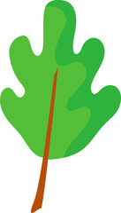 Leaf Icon