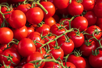 Red Cherry tomatoes in box for sale