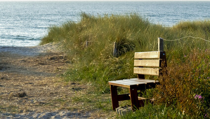 wooden bench on the beach