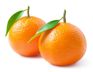 Tangerines or clementines with green leaf on white. Package design element