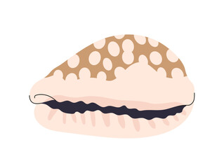 Sea shell concept. Natural sea and underwater object. Ocean and tropical and exotic countries. Poster or banner for website. Cartoon flat vector illustration isolated on white background