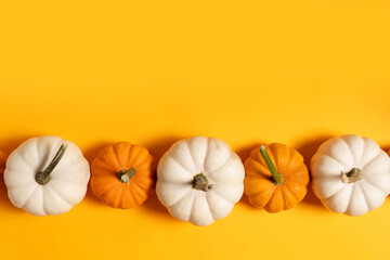 Row of white and orange pumpkins on bright orange background, top view