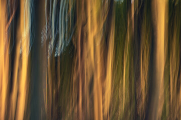 background with flowing lines