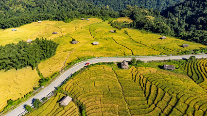 Driving through stunning rice fields in Arunachal Pradesh, India © Kirti Rawat