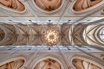 Cathedral 