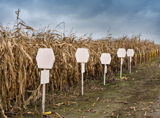 signs, signs on demo plots of corn during harvest