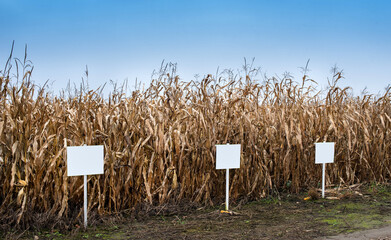 signs on demo plots of corn during harvest