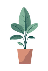 Green leaf symbolizes nature growth houseplant