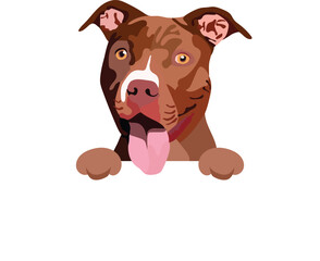 Pit Bull Terrier dog head with paws. Dog peeking out from the wall. Funny mascot with pittie Drawing. Cartoon style. Popular character. Sketch, canine graphic. Lovely smiling pooch, an isolated design