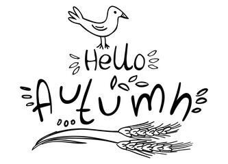 Fototapeta na wymiar Hello Autumn card - doodle elements - bird, wheat , lettering isolated on white background. Vector illustration. Perfect for banner, greeting card, print.