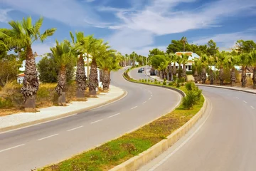 Kunstfelldecke mit Muster Atlantikstraße road to Portimao with palm trees at edges