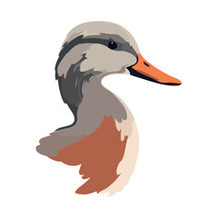 Cute duck head, symbol of nature beauty