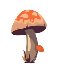 Autumn edible mushrooms on organic plant