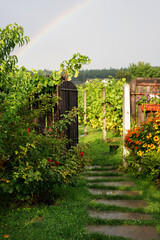 Opened wooden wicket. Country style.