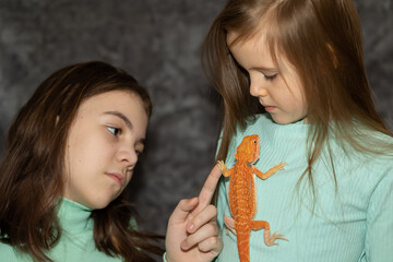 Portrait of pretty girls with Red bearded Agama iguana on gray background. Two small children...