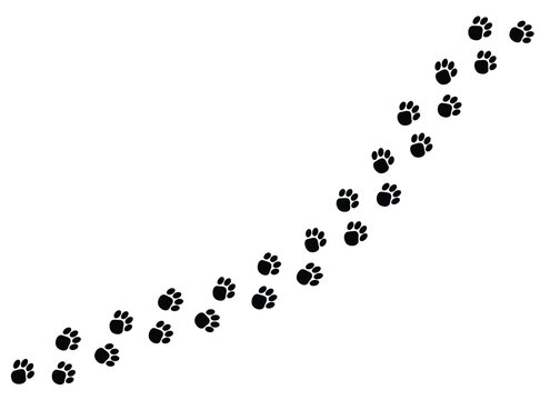dog or cat animal footprints pattern brush