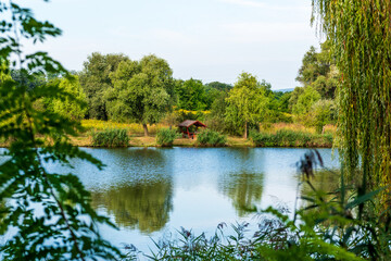 Beautiful summer landscape