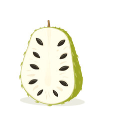 Vector soursop, guanabana or graviola cut fruit isolated on white background