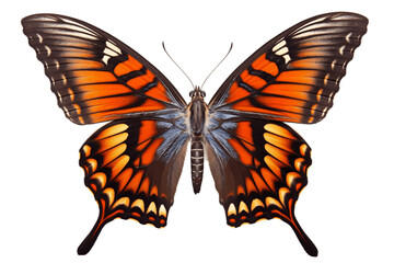 Two-Tailed Pasha Butterfly Isolated on Transparent Background. Generative Ai.