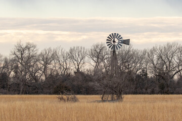 windmill in the field